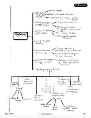 CSS PMS Pakistan Affairs Premium Handwritten notes by Awaid Irshad Bhatti Volume 1 - Nearpeer